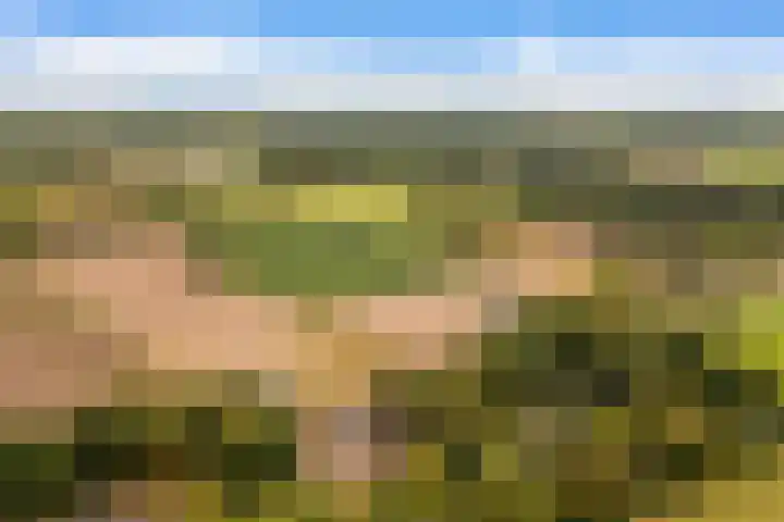 Hoge Vaartkant 141 Etten-Leur thumbnail 38