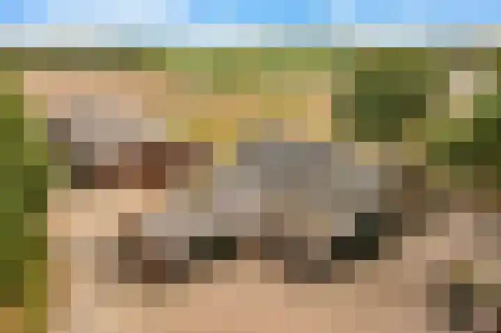 Hoge Vaartkant 141 Etten-Leur thumbnail 4