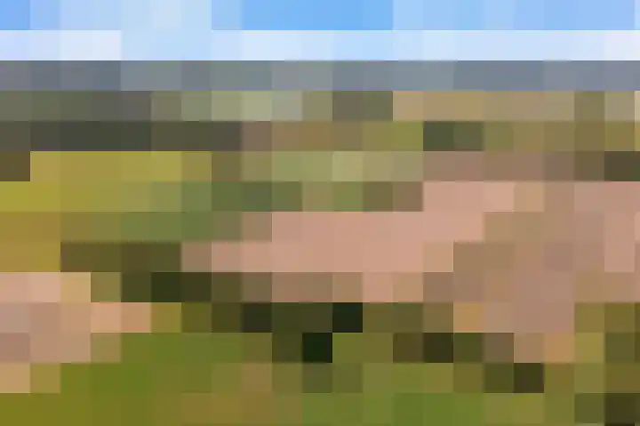 Hoge Vaartkant 141 Etten-Leur thumbnail 41