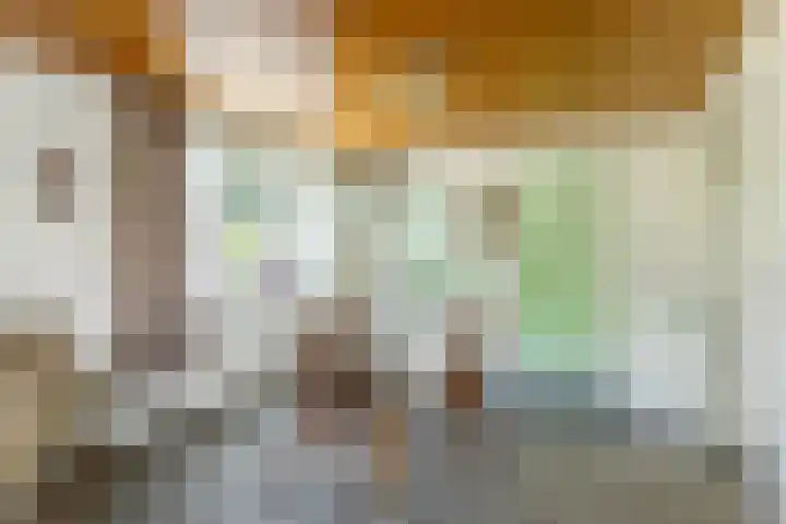 Hoge Vaartkant 141 Etten-Leur thumbnail 9