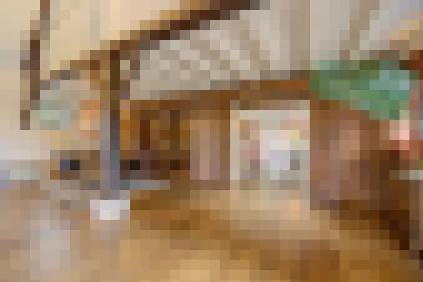Hoge Vaartkant 18 Etten-Leur thumbnail 11