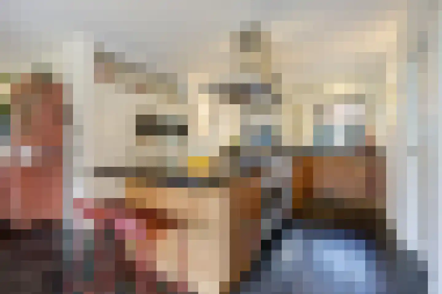Hoge Vaartkant 18 Etten-Leur thumbnail 19