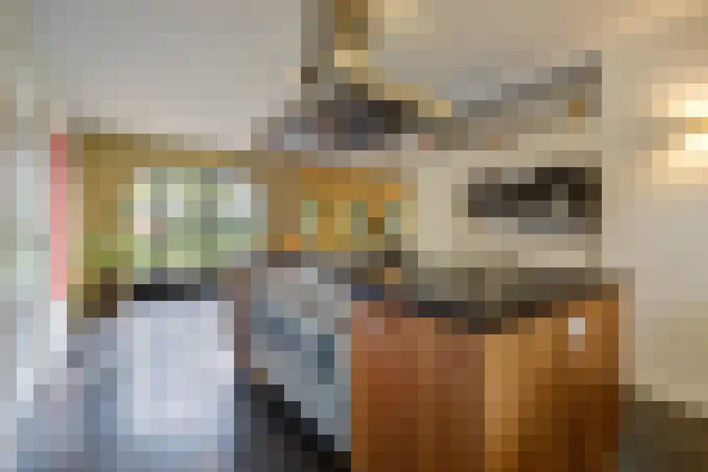 Hoge Vaartkant 18 Etten-Leur thumbnail 21