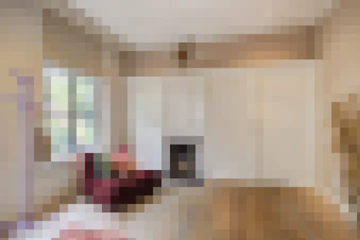 Hoge Vaartkant 18 Etten-Leur thumbnail 31