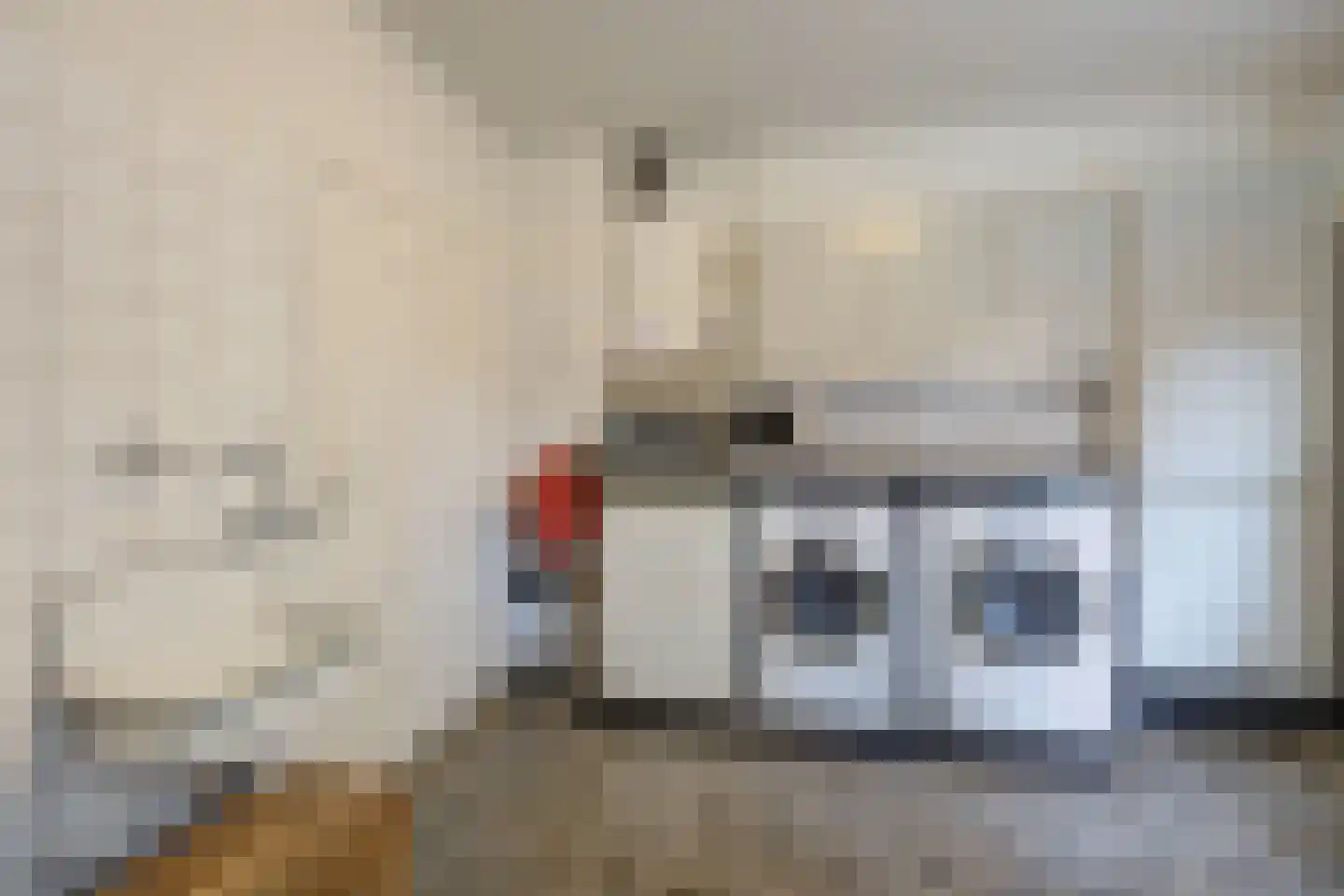 Hoge Vaartkant 18 Etten-Leur thumbnail 36