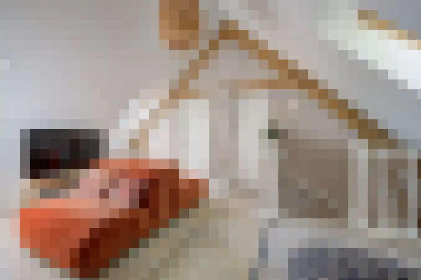 Hoge Vaartkant 18 Etten-Leur thumbnail 38
