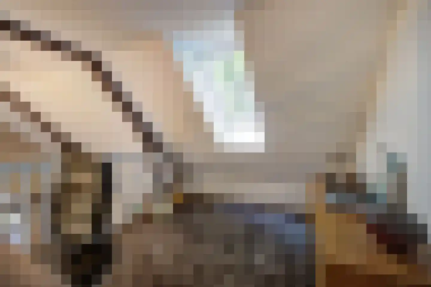 Hoge Vaartkant 18 Etten-Leur thumbnail 41