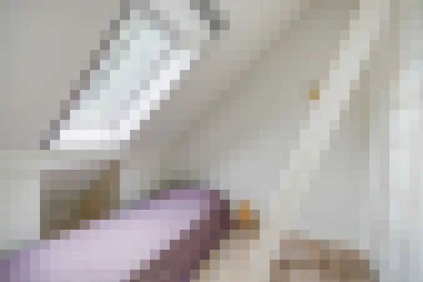 Hoge Vaartkant 18 Etten-Leur thumbnail 43