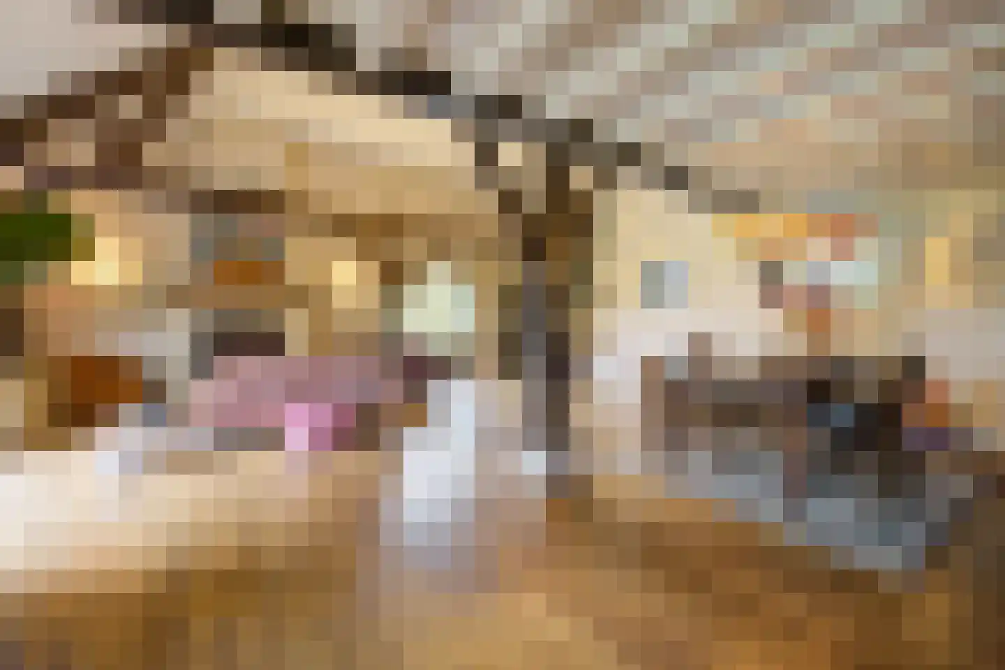 Hoge Vaartkant 18 Etten-Leur thumbnail 5