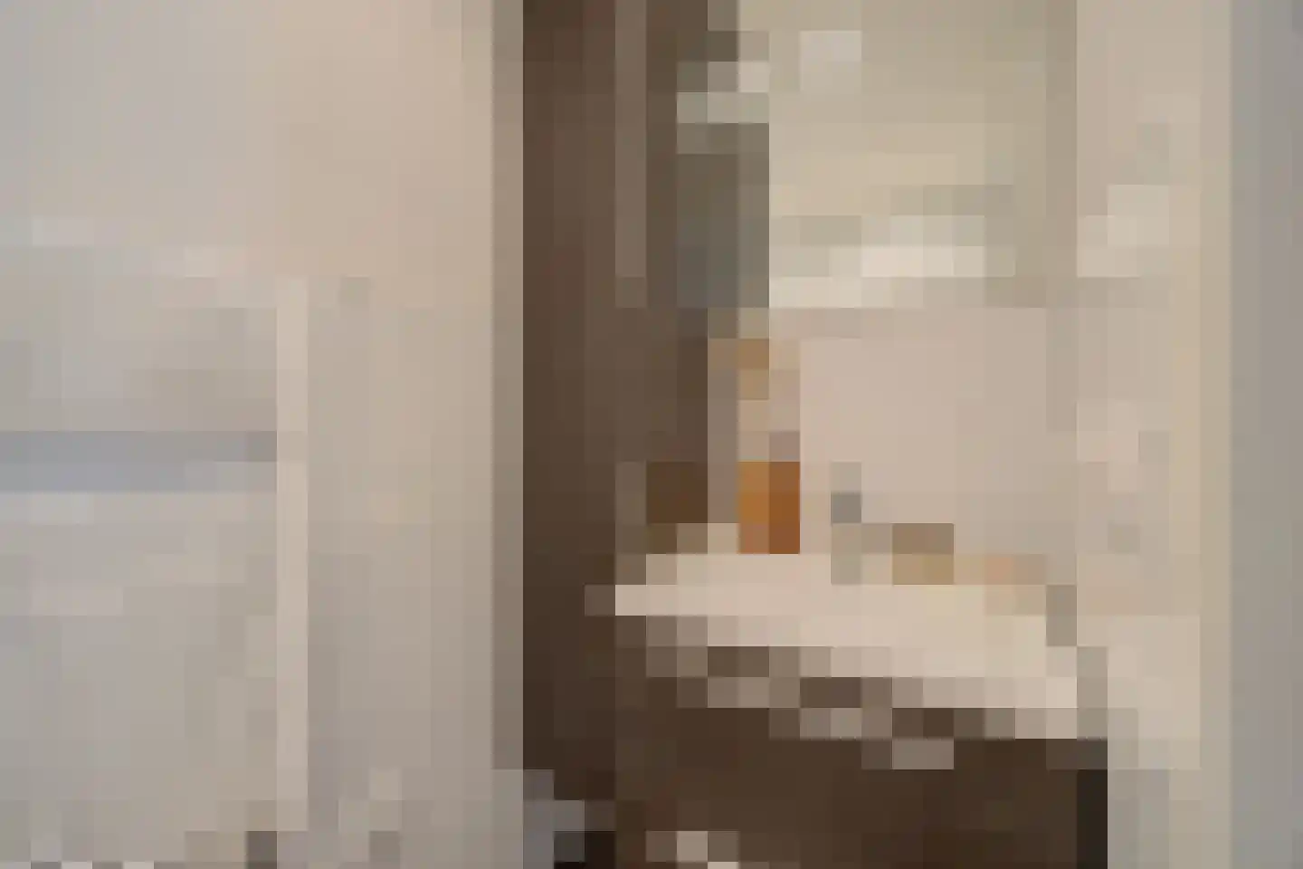 Hoge Vaartkant 18 Etten-Leur thumbnail 52