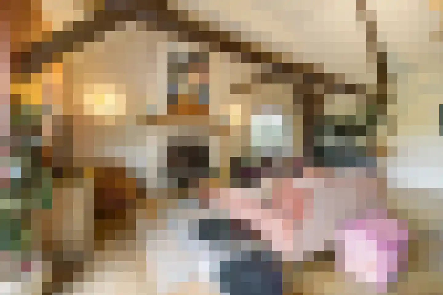Hoge Vaartkant 18 Etten-Leur thumbnail 6