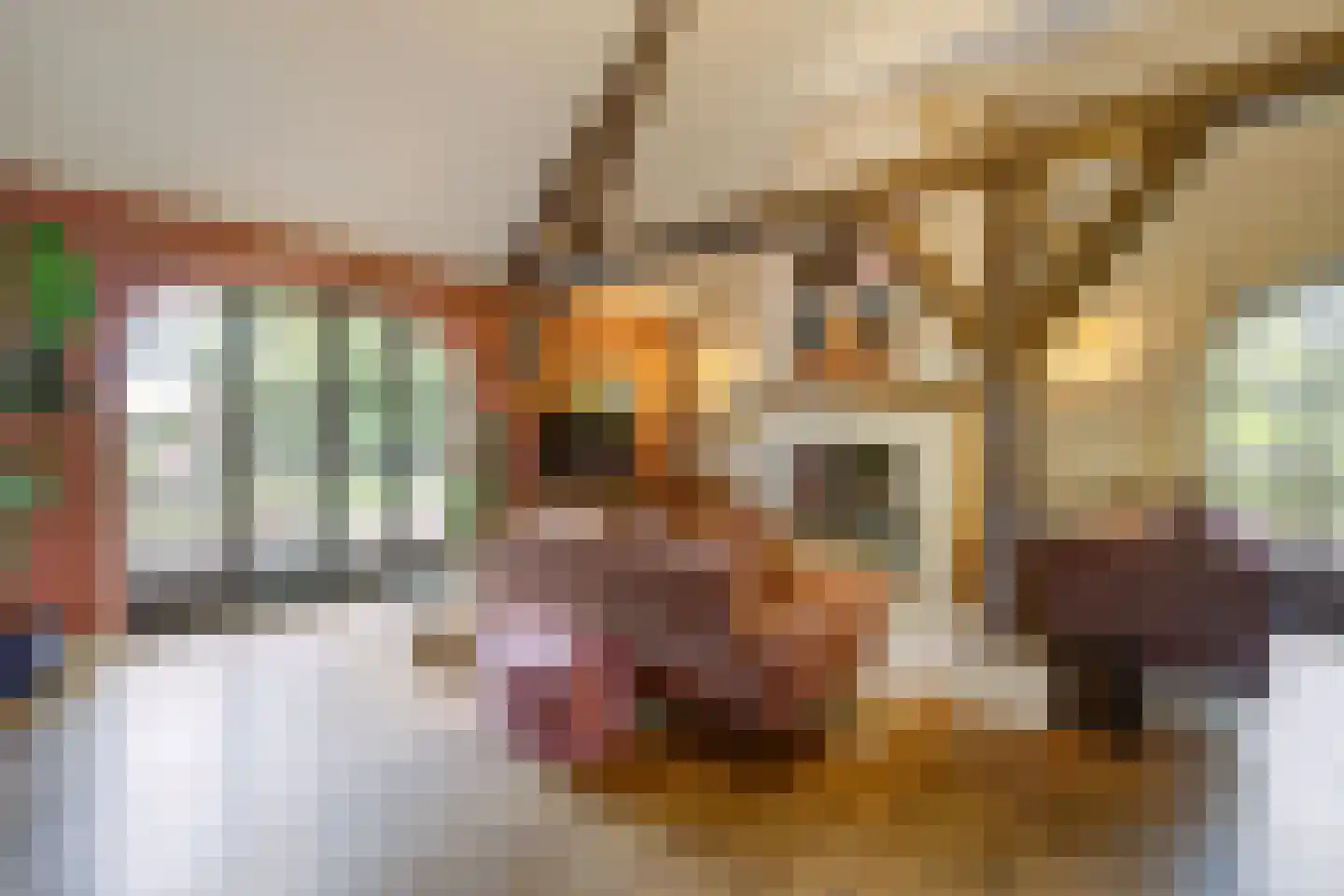 Hoge Vaartkant 18 Etten-Leur thumbnail 7
