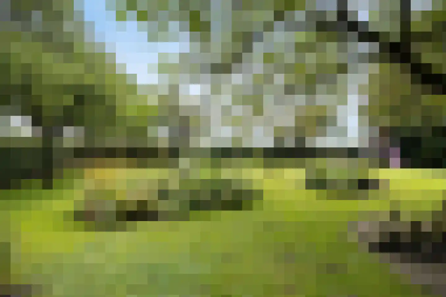 Hoge Vaartkant 18 Etten-Leur thumbnail 74
