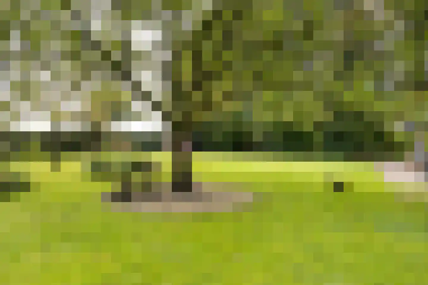 Hoge Vaartkant 18 Etten-Leur thumbnail 77