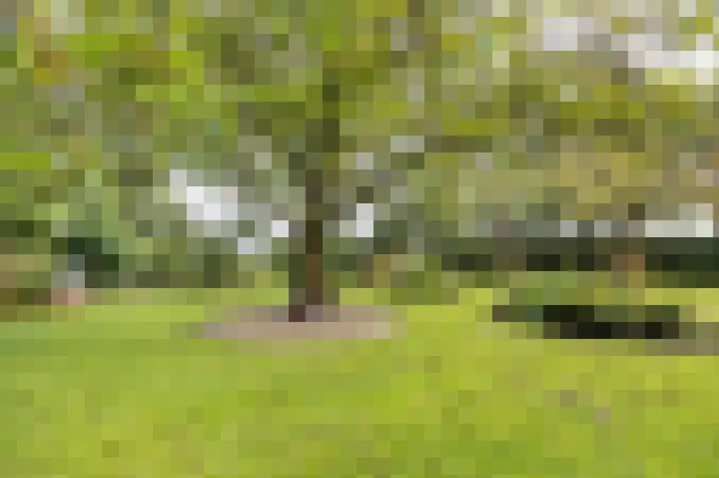 Hoge Vaartkant 18 Etten-Leur thumbnail 80