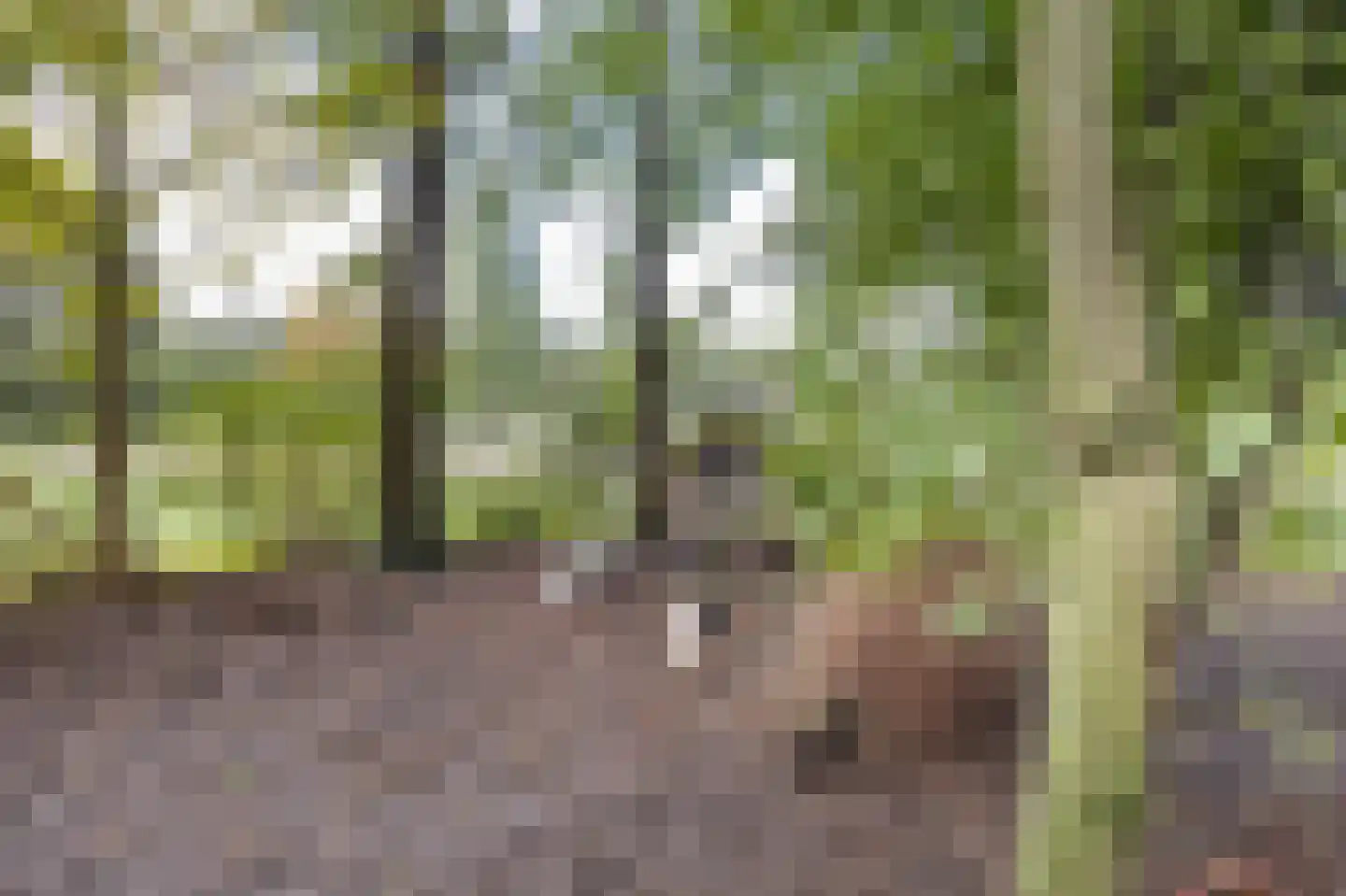 Hoge Vaartkant 18 Etten-Leur thumbnail 84