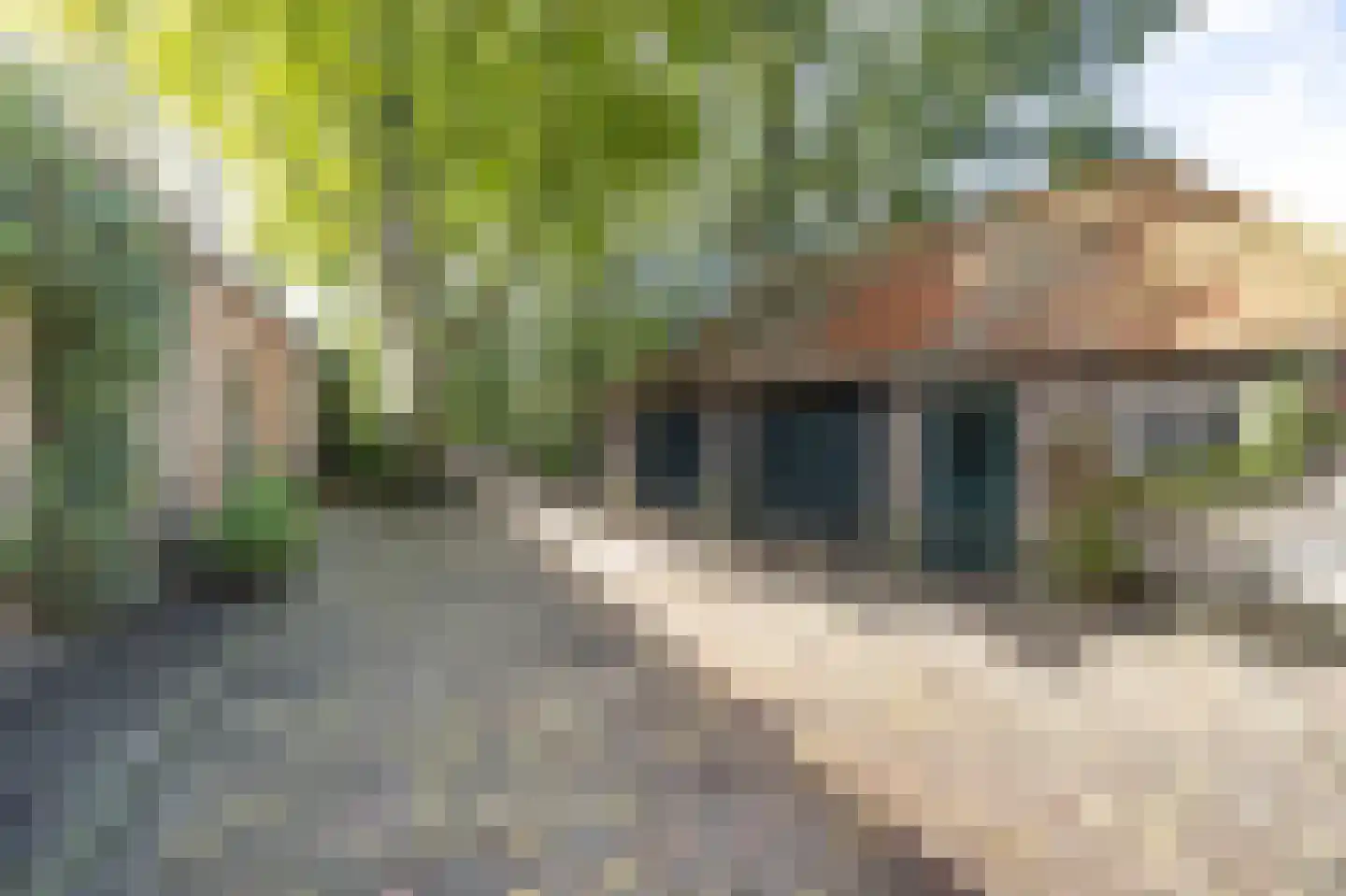 Hoge Vaartkant 18 Etten-Leur thumbnail 86