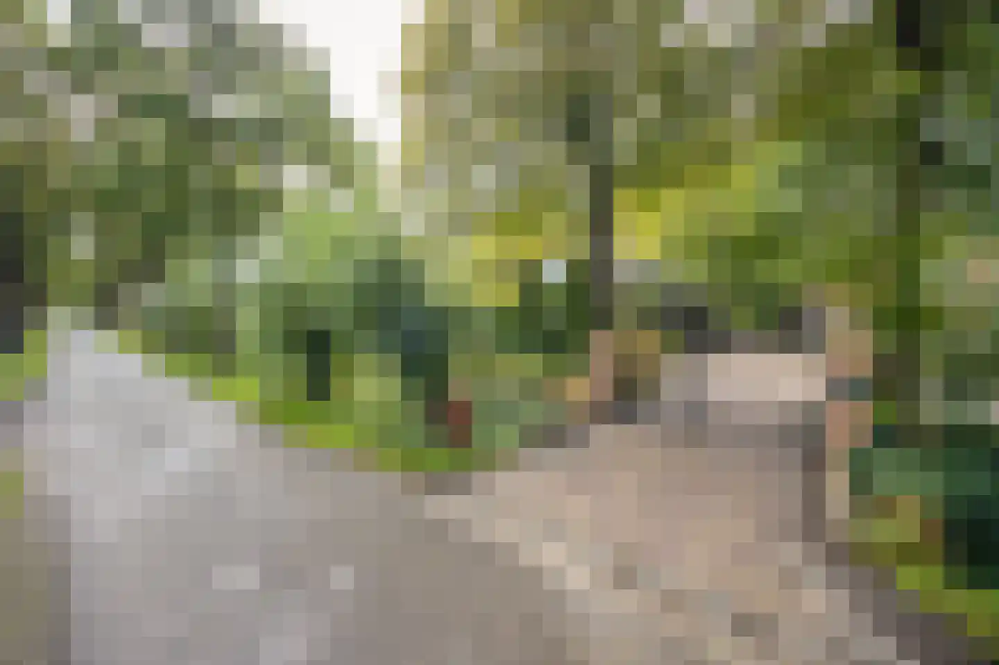 Hoge Vaartkant 18 Etten-Leur thumbnail 88
