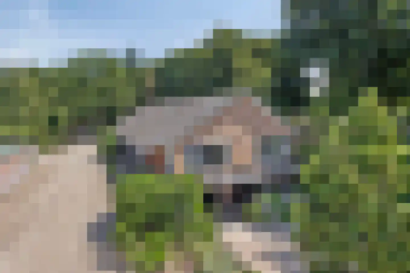 Hoge Valksedijk 1 Ede