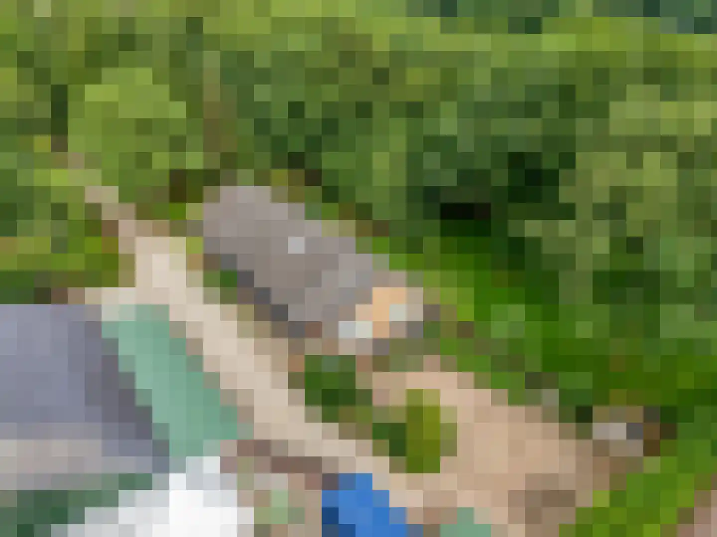 Hoge Valksedijk 1 Ede thumbnail 100