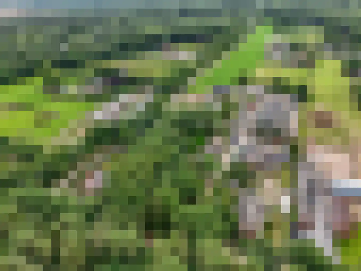 Hoge Valksedijk 1 Ede thumbnail 104