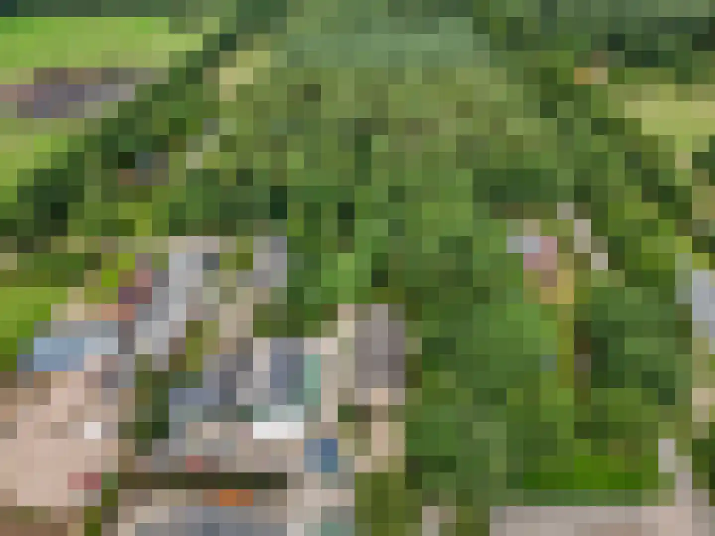 Hoge Valksedijk 1 Ede thumbnail 105