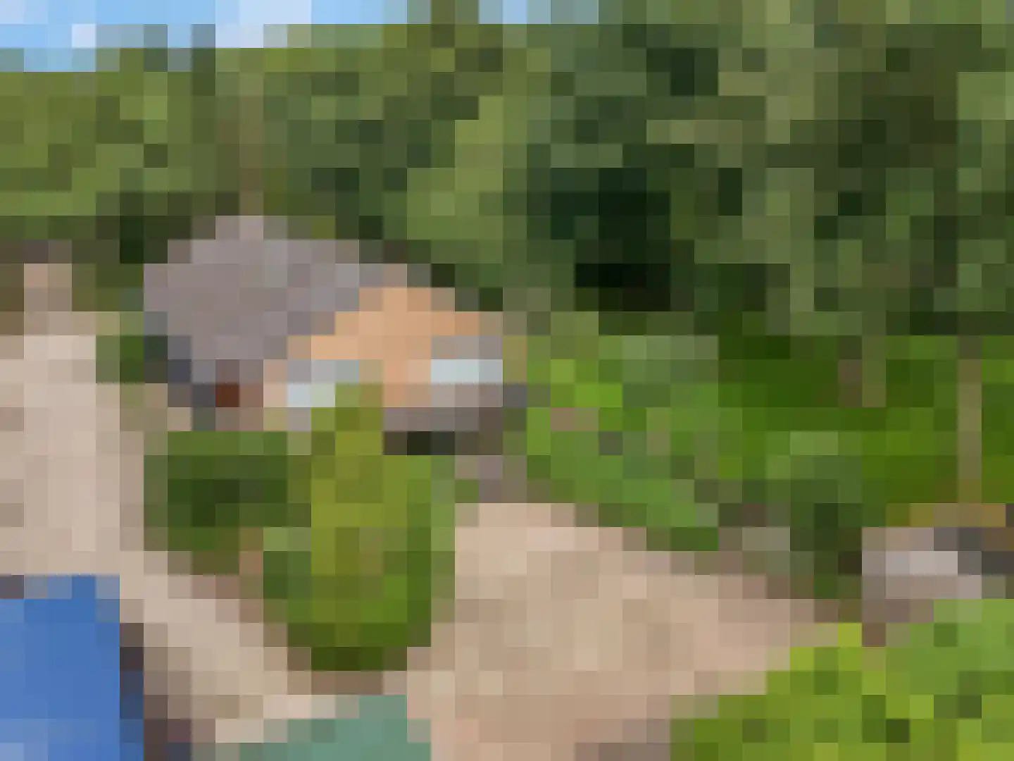 Hoge Valksedijk 1 Ede thumbnail 106