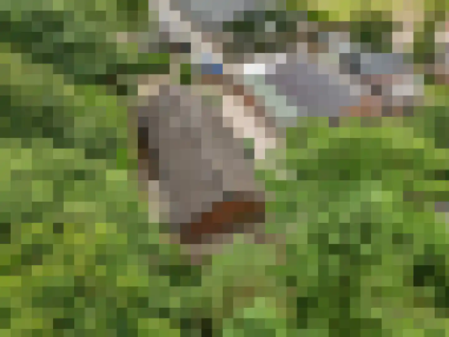 Hoge Valksedijk 1 Ede thumbnail 108
