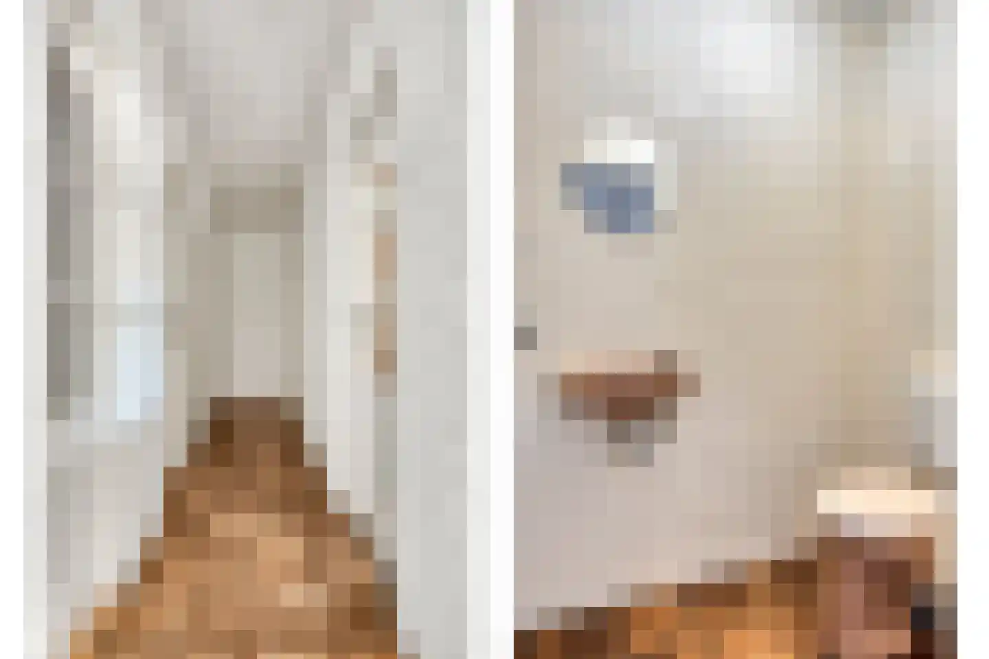 Hoge Valksedijk 1 Ede thumbnail 13