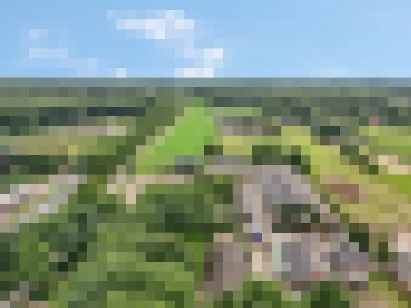 Hoge Valksedijk 1 Ede foto 2