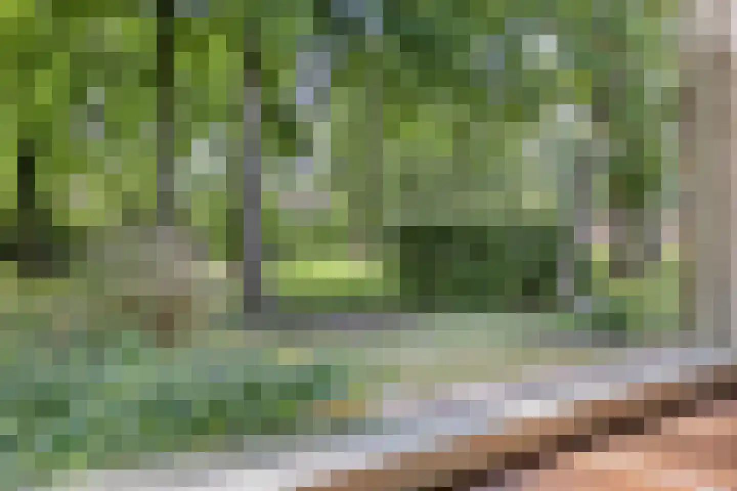 Hoge Valksedijk 1 Ede thumbnail 23