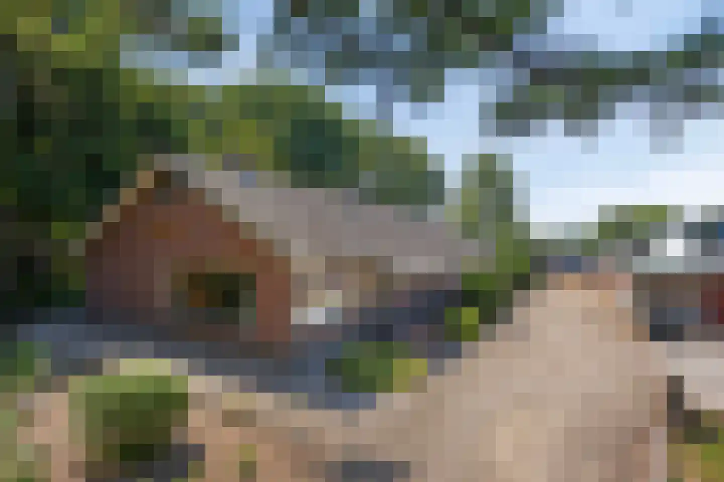 Hoge Valksedijk 1 Ede thumbnail 4