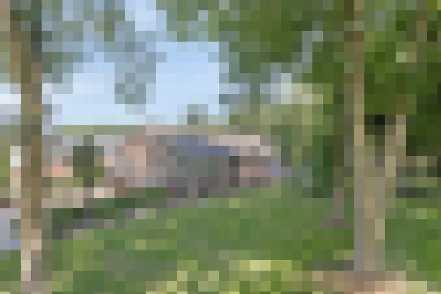 Hoge Valksedijk 1 Ede thumbnail 5