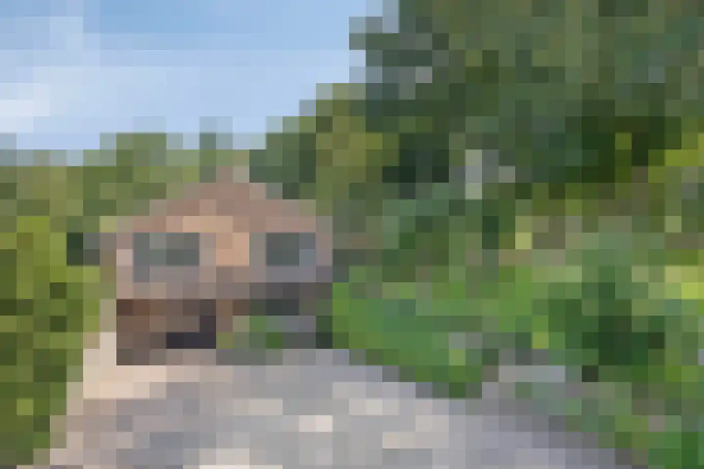 Hoge Valksedijk 1 Ede thumbnail 6