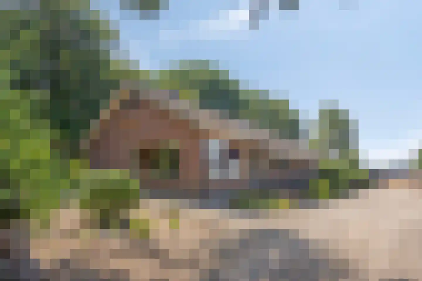 Hoge Valksedijk 1 Ede thumbnail 7