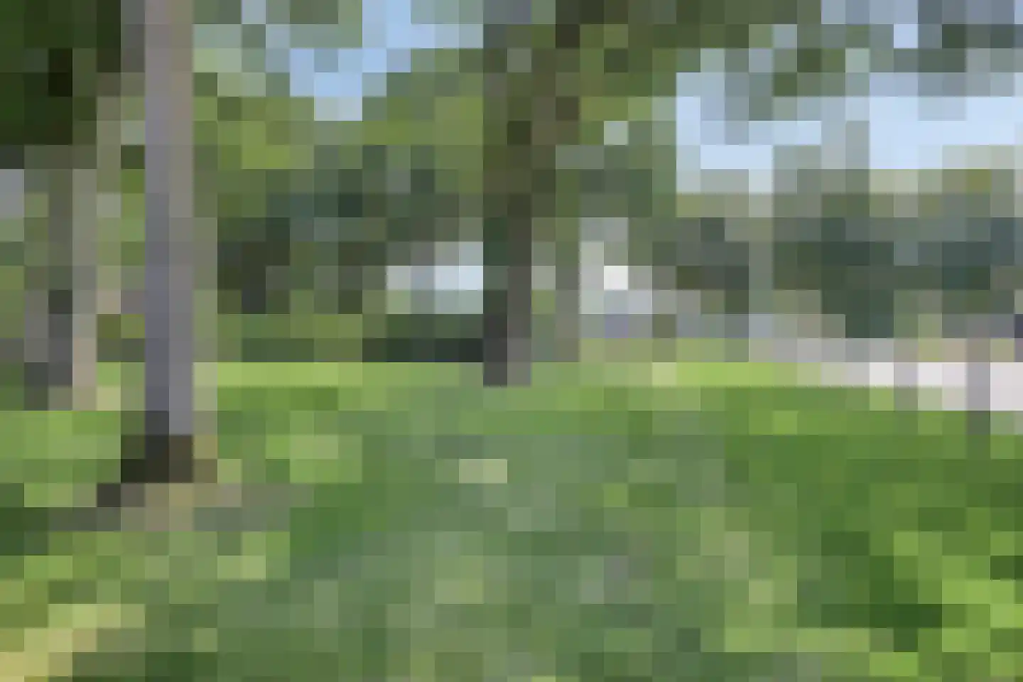 Hoge Valksedijk 1 Ede thumbnail 77