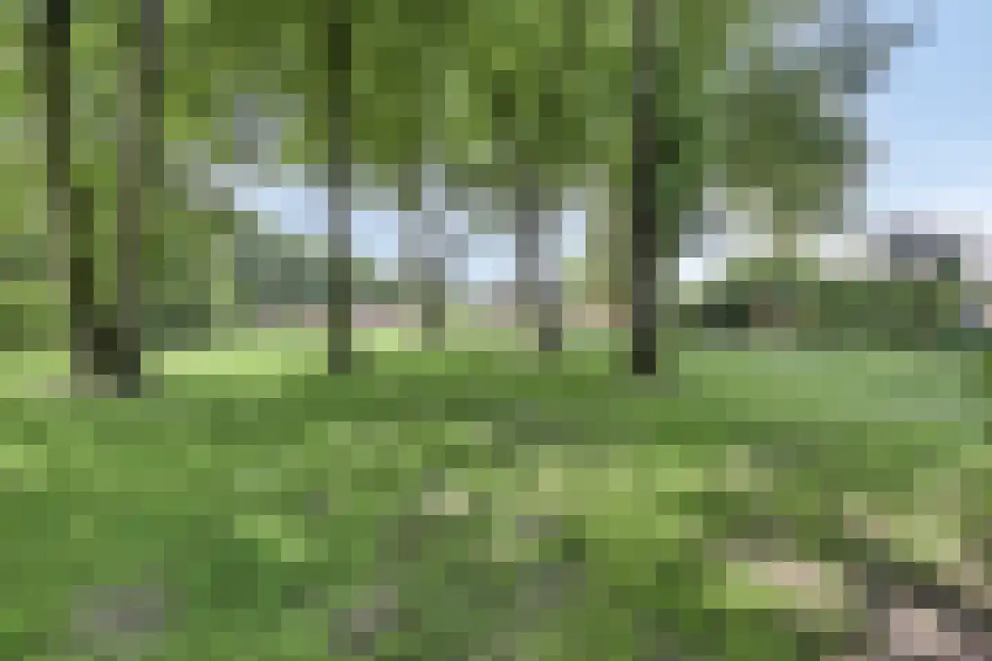 Hoge Valksedijk 1 Ede thumbnail 81