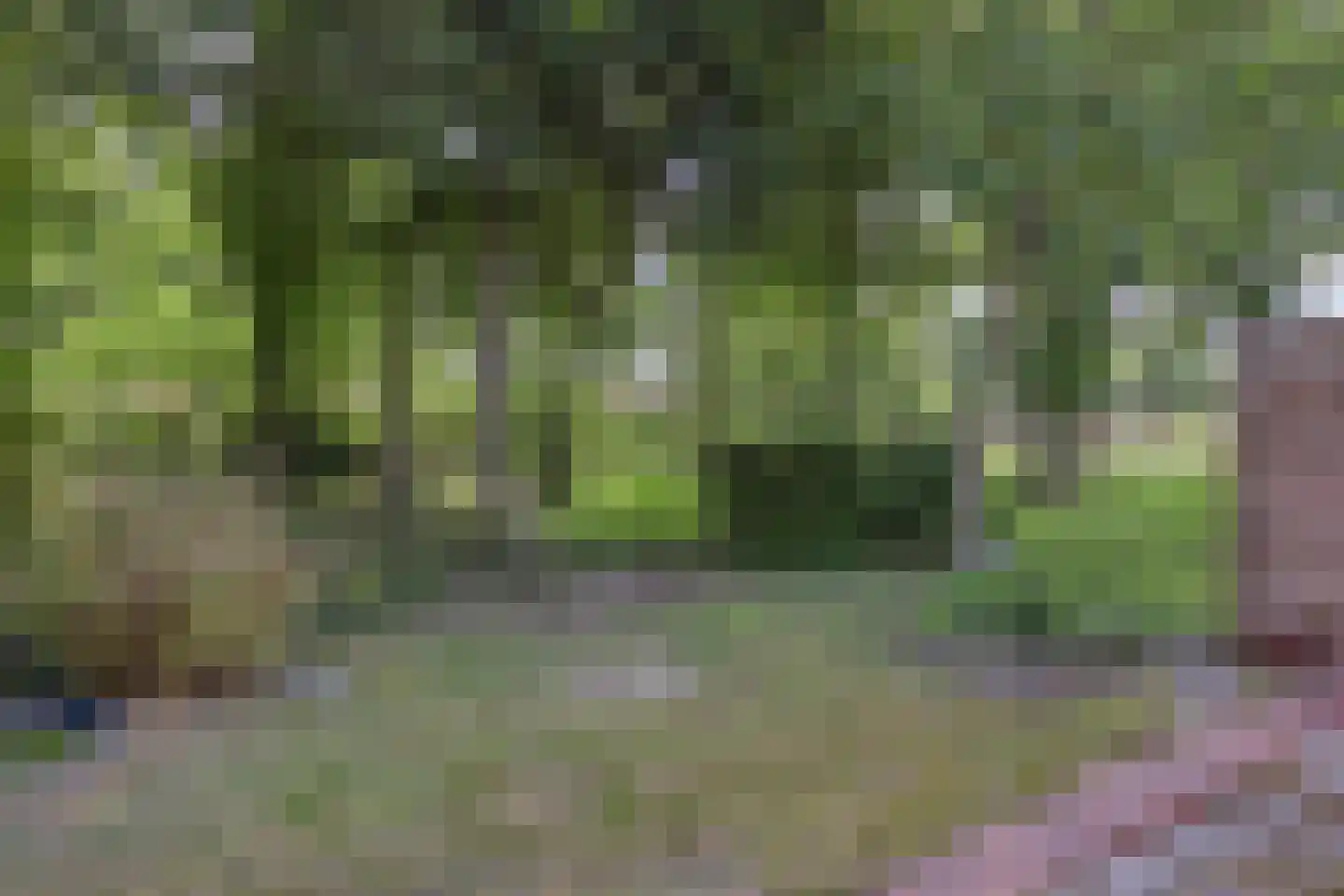 Hoge Valksedijk 1 Ede thumbnail 83