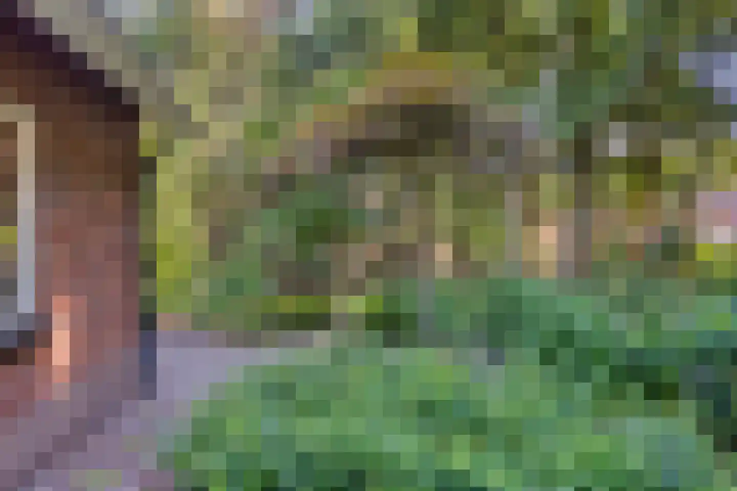 Hoge Valksedijk 1 Ede thumbnail 84