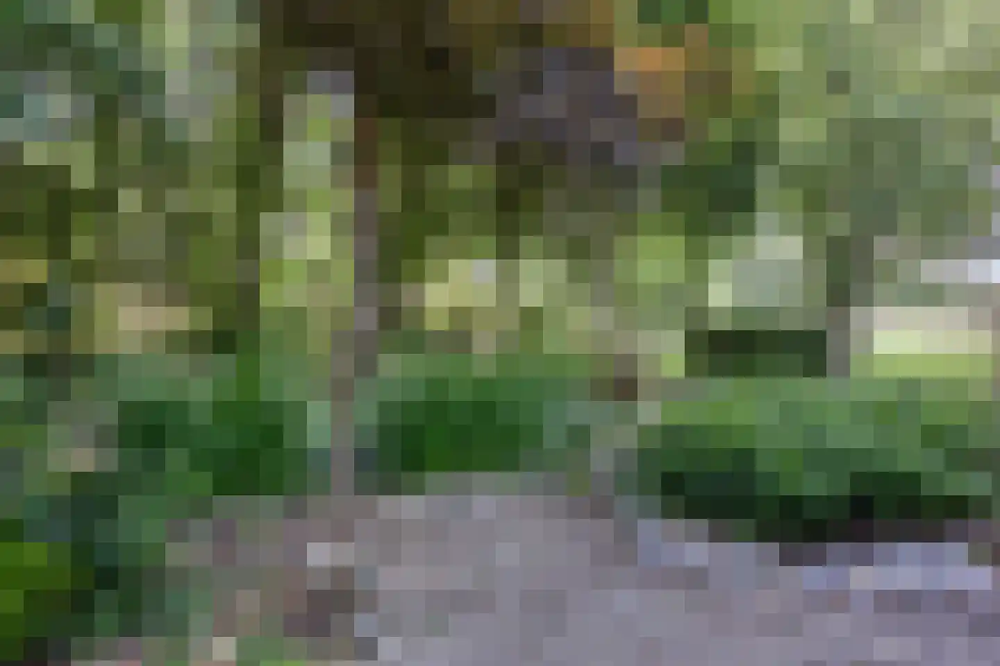 Hoge Valksedijk 1 Ede thumbnail 85