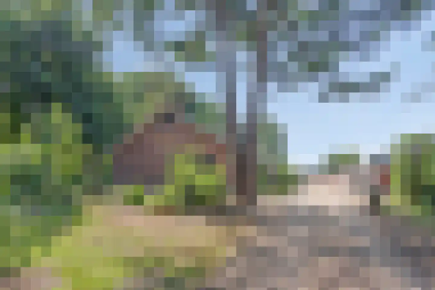 Hoge Valksedijk 1 Ede thumbnail 87