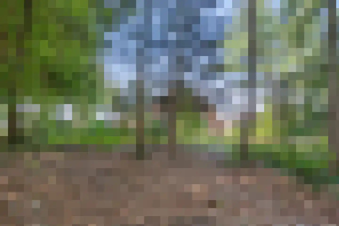 Hoge Valksedijk 1 Ede thumbnail 88
