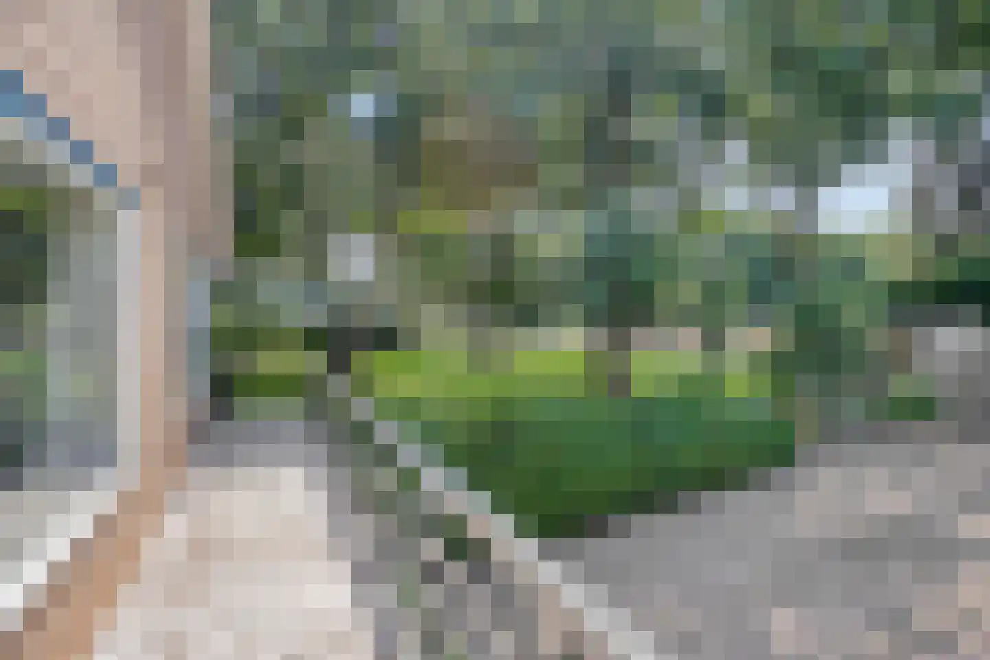 Hoge Valksedijk 1 Ede thumbnail 92