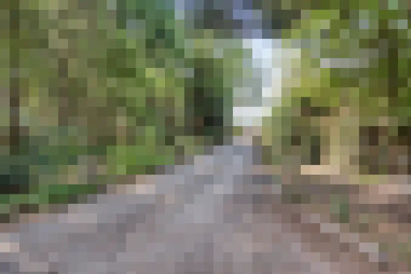 Hoge Valksedijk 1 Ede thumbnail 95