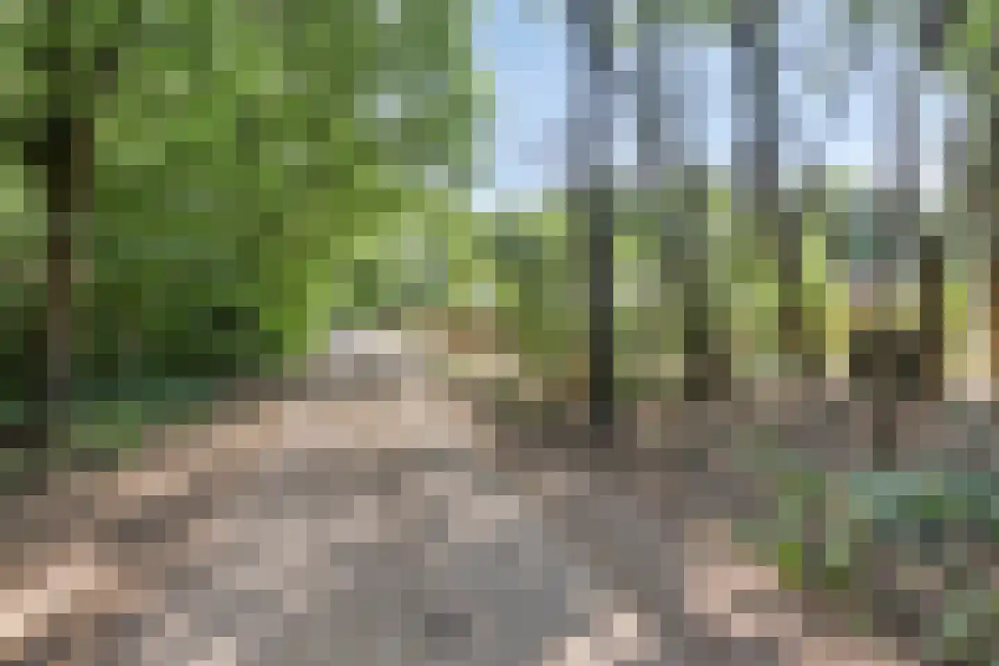 Hoge Valksedijk 1 Ede thumbnail 97