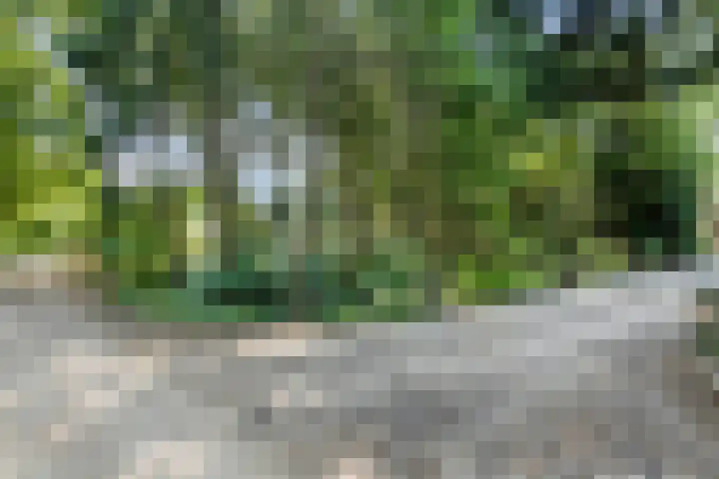 Hoge Valksedijk 1 Ede thumbnail 99