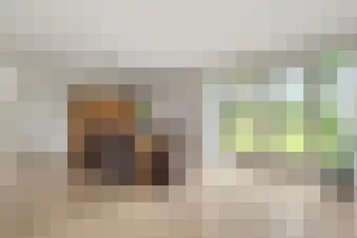 Hoge Valksedijk 12 Ede thumbnail 13