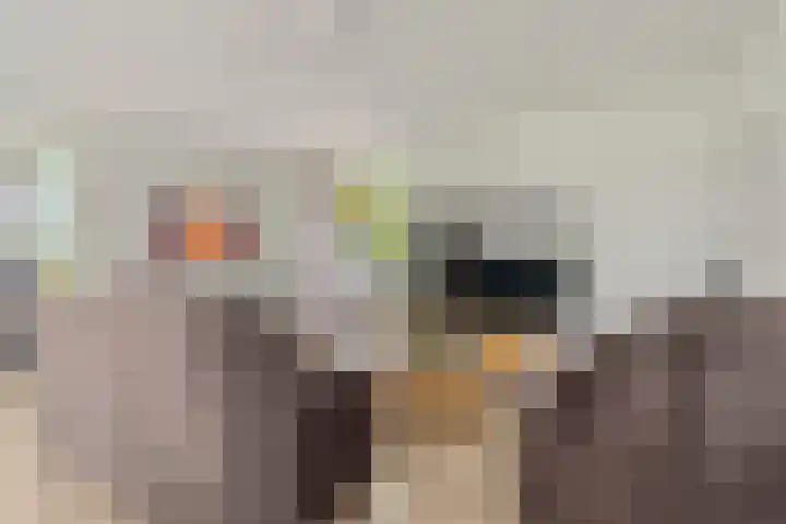 Hoge Valksedijk 12 Ede thumbnail 14