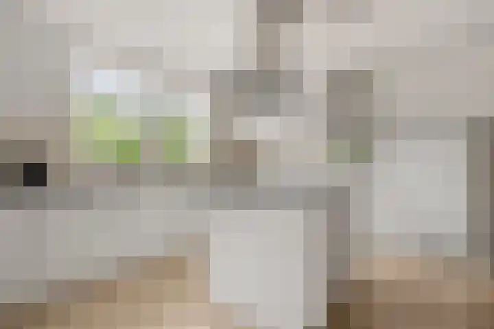 Hoge Valksedijk 12 Ede thumbnail 19