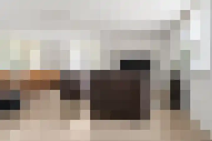 Hoge Valksedijk 12 Ede thumbnail 21